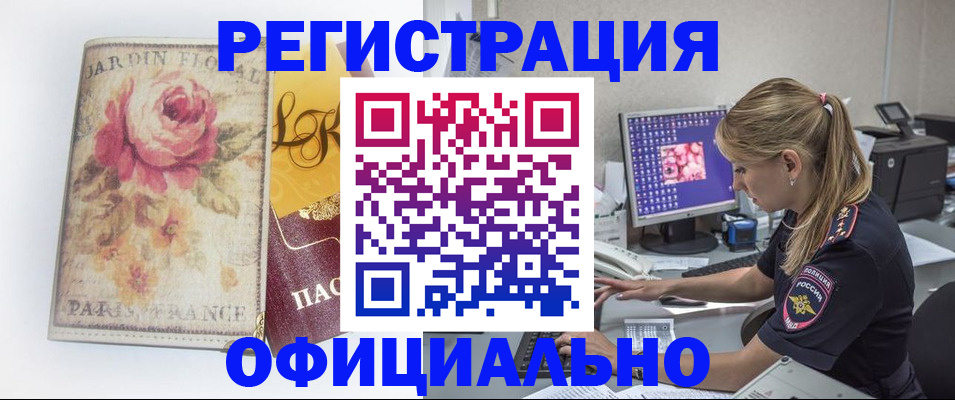 временная регистрация поиск в Курске